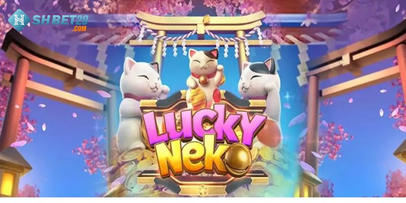 Những bí quyết để chiến thắng neko may mắn