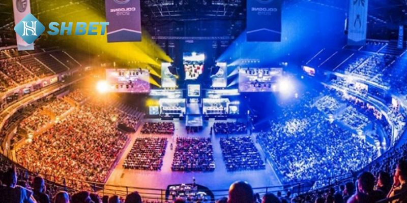 Những danh mục cá cược esport nổi bật tại cổng game PG điện tử Shbet29.com