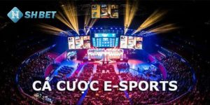 PG điện tử - Cá cược điện tử esports tại Shbet29.com