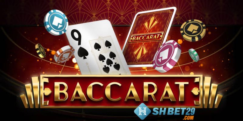 Những lưu ý khi chơi bài baccarat