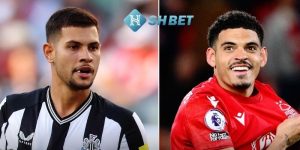 Soi kèo Nottingham Forest vs Newcastle United: 0h30 11/02/2024