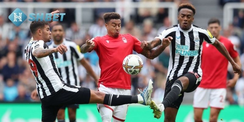 Nhận định bóng đá trận Nottingham Forest vs Newcastle United