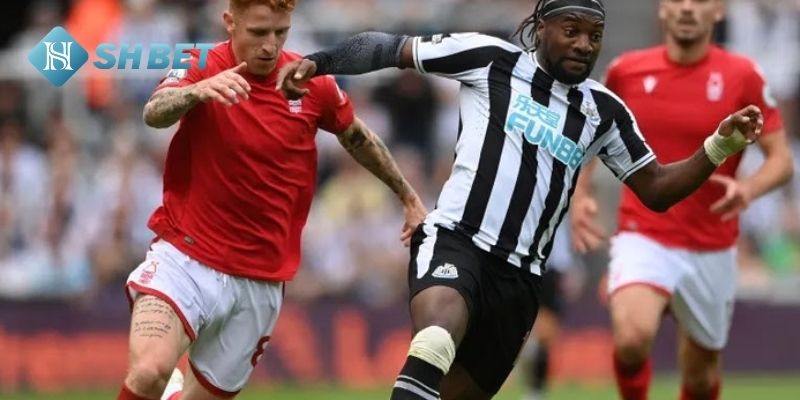 Đội hình dự kiến trận Nottingham Forest vs Newcastle United