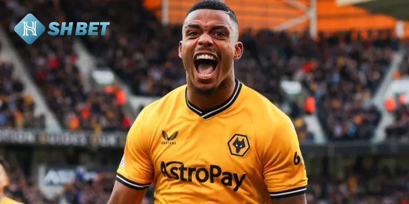 Phong độ thi đấu của Wolverhampton Wanderers vs Brentford