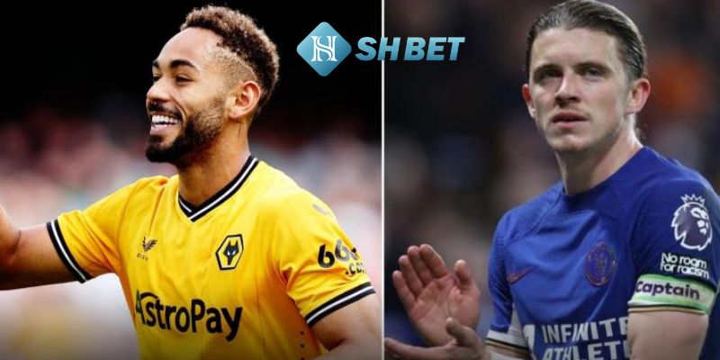 Thông tin về lực lượng mới nhất của Wolverhampton Wanderers vs Brentford